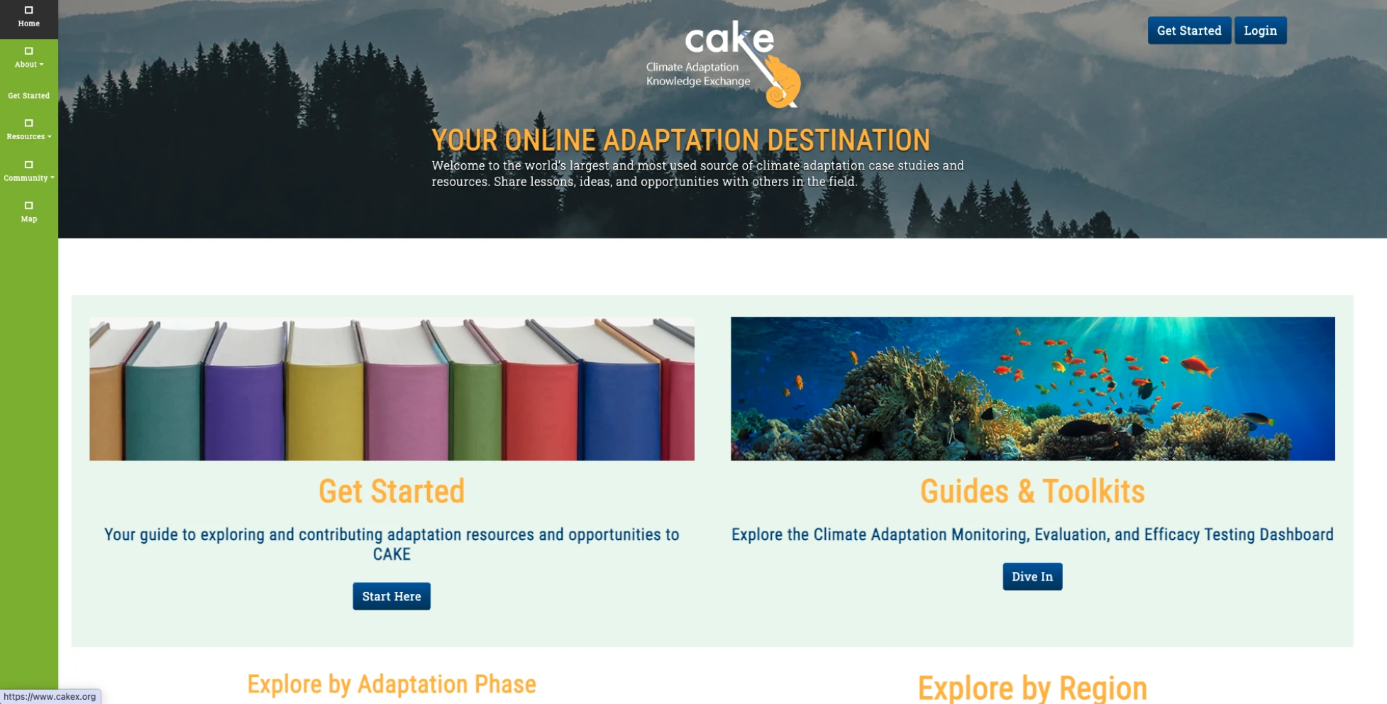 CAKE website analysis