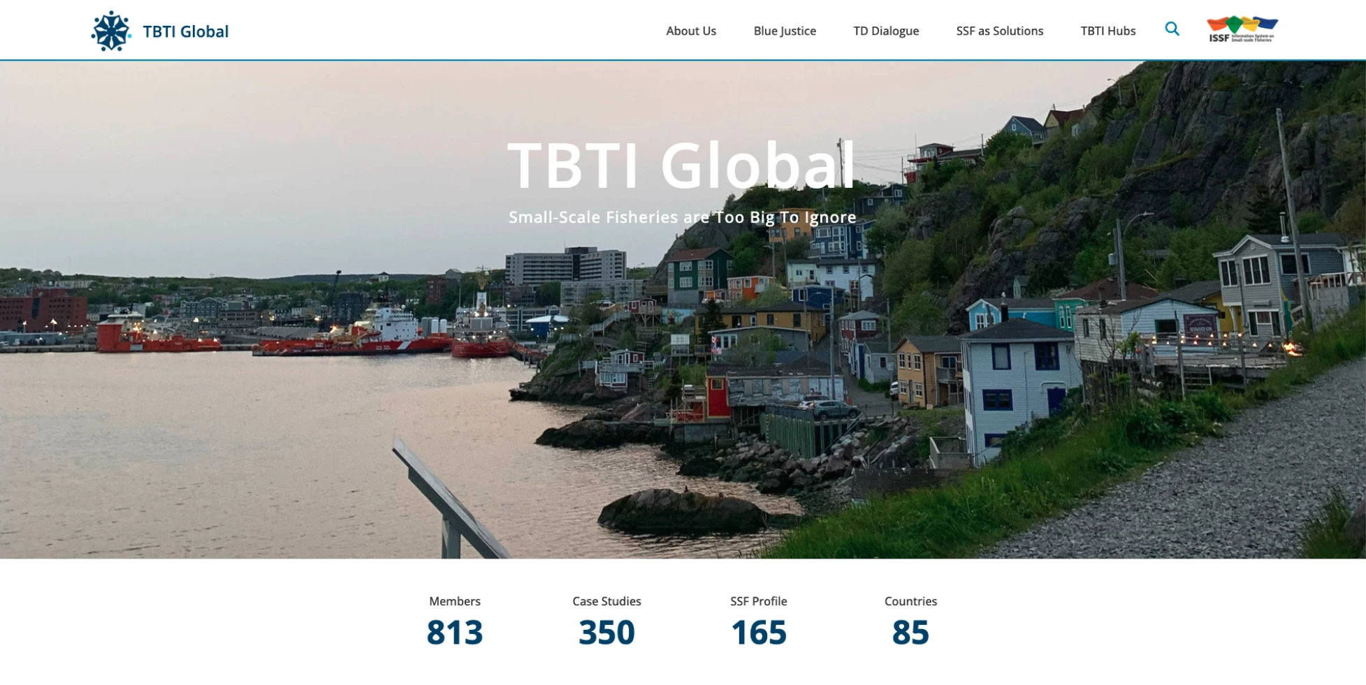 TBTI website analysis